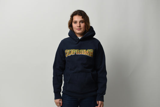 Supreme Metallic Arc Hooded Sweatshirt (Str M)