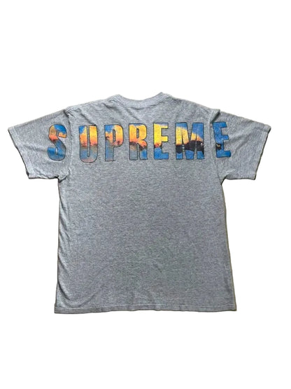 Supreme Crash Tee Heather Grey Men's - FW17(Størelse Medium)