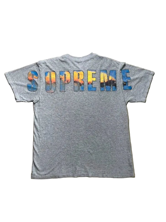 Supreme Crash Tee Heather Grey Men's - FW17(Størelse Medium)